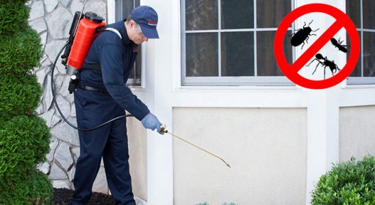 Eskifoça Akrep İlaçlama böcek ilaçlama ve haşere kontrolü — ilaclama-tr.com